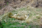 _IGP7494.jpg