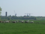 148.jpg