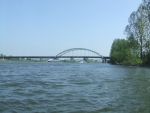 194.jpg