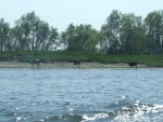 197.jpg